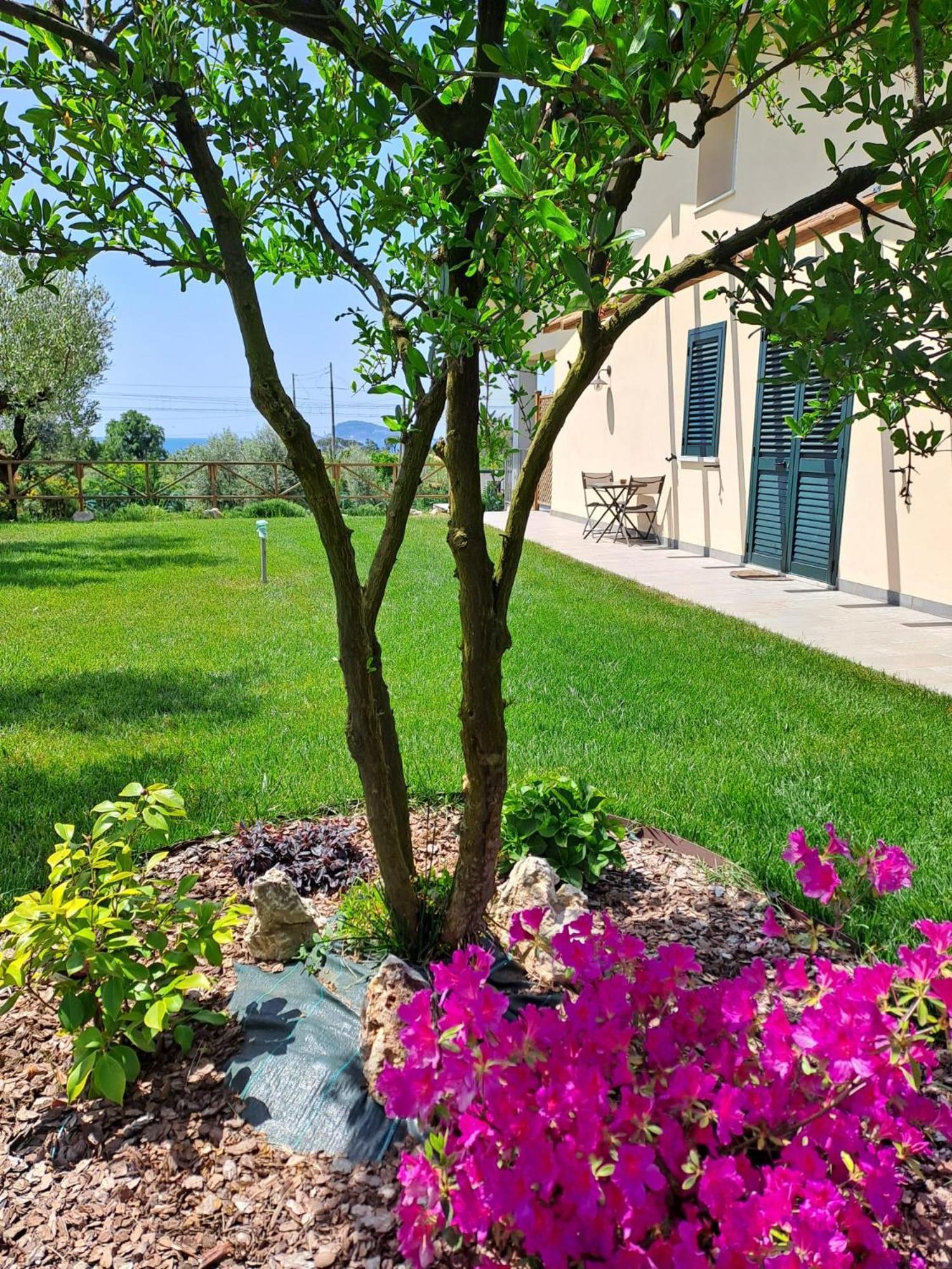 La Campagna Di Peppe E Tullia Bed & Breakfast Formia Bagian luar foto